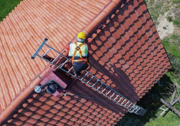 Best Roof Maintenance and Cleaning  in Lyons, NJ